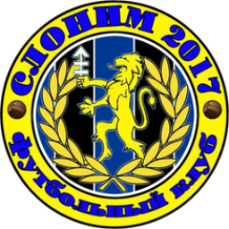 斯洛尼姆队